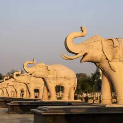 Packers and Movers Noida Paresha Global Movers